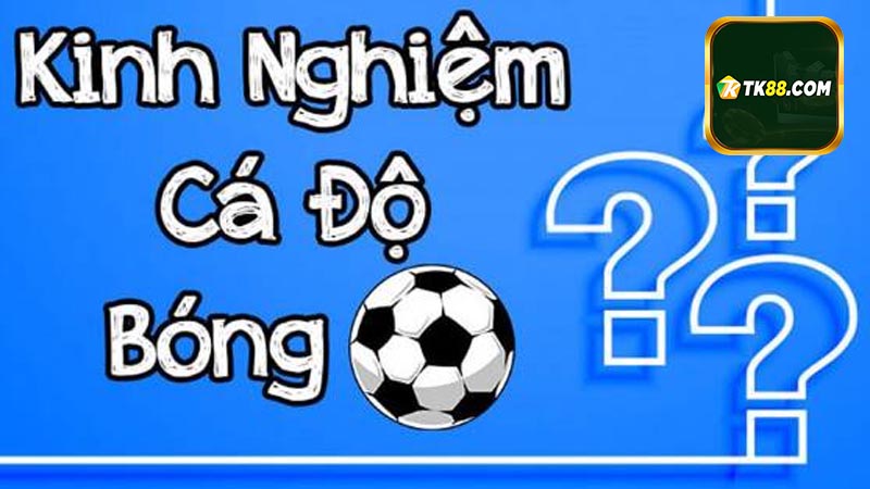 Cược bóng đá là gì?