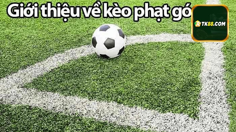 Các dạng cược góc cơ bản của nhà cái